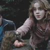 Mione Jane Malfoy