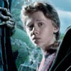 **GinnY**