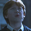 Gryffindorkable