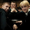Draco_lady