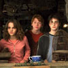 #1Dan/Rupert/Emma*Fan*