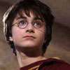 Harry Potter Book Worm