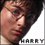 quidditch_seeker