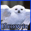 davie7117