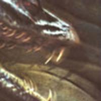 'Potter' special effects company opens in NY
