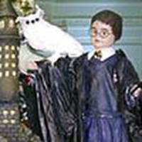 It's a very 'Harry' White House Christmas