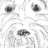 Magical doodles for sale