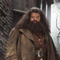 Coltrane speaks about working on 'Azkaban'