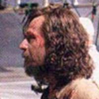 Gary Oldman as Sirius Black