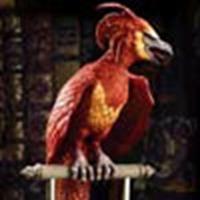 harry potter fawkes
