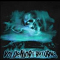 'Voldemort Returns' t-shirt