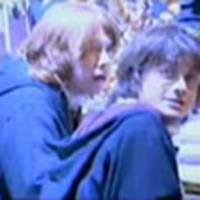 Ron & Harry in the Great Hall