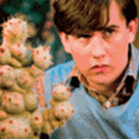 Neville Longbottom