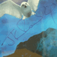 Signed JK poster