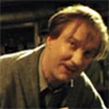 Lupin