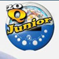 20Q™