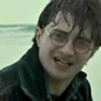 'Harry Potter'